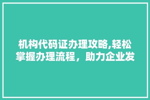 机构代码证办理攻略,轻松掌握办理流程，助力企业发展