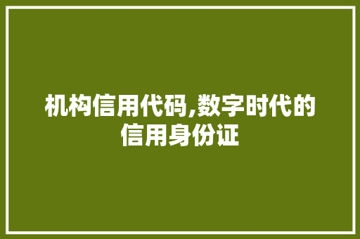 机构信用代码,数字时代的信用身份证