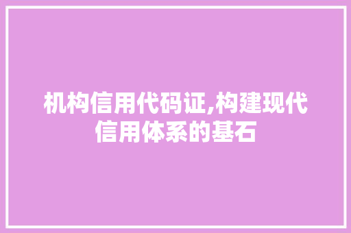 机构信用代码证,构建现代信用体系的基石