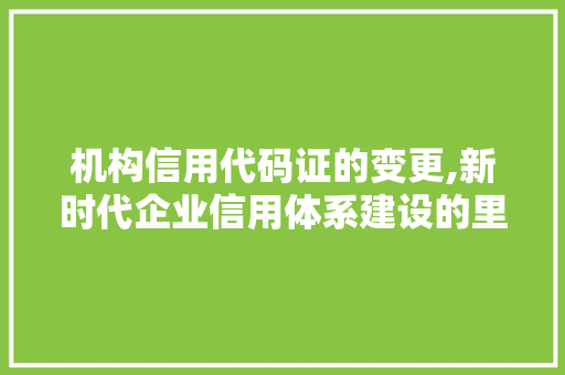 机构信用代码证的变更,新时代企业信用体系建设的里程碑