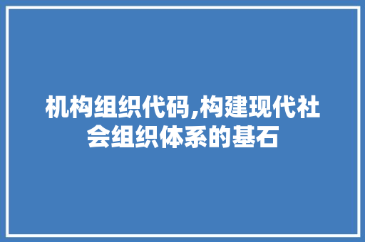 机构组织代码,构建现代社会组织体系的基石