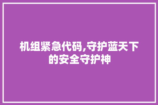 机组紧急代码,守护蓝天下的安全守护神