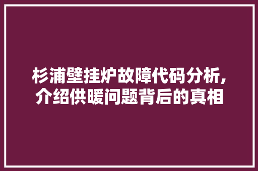 杉浦壁挂炉故障代码分析,介绍供暖问题背后的真相