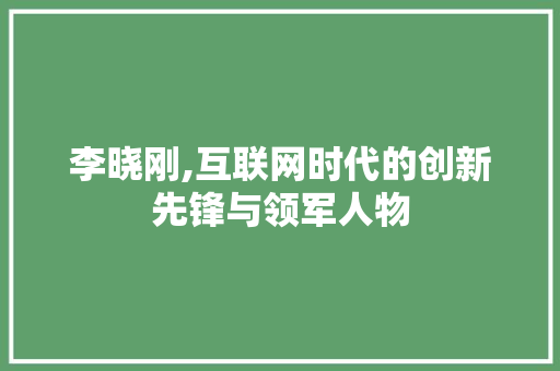 李晓刚,互联网时代的创新先锋与领军人物