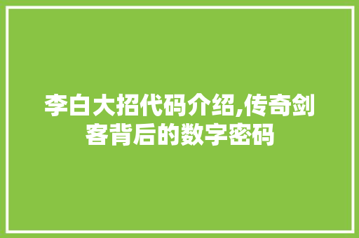 李白大招代码介绍,传奇剑客背后的数字密码