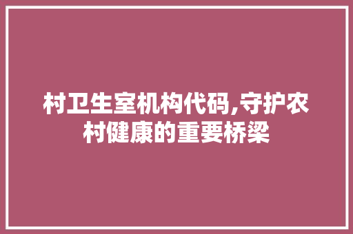 村卫生室机构代码,守护农村健康的重要桥梁