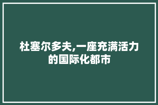 杜塞尔多夫,一座充满活力的国际化都市