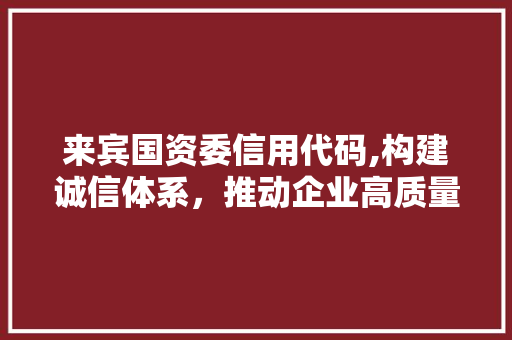 来宾国资委信用代码,构建诚信体系，推动企业高质量发展