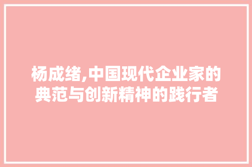 杨成绪,中国现代企业家的典范与创新精神的践行者