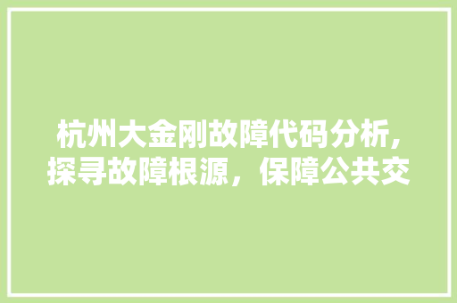 杭州大金刚故障代码分析,探寻故障根源，保障公共交通安全