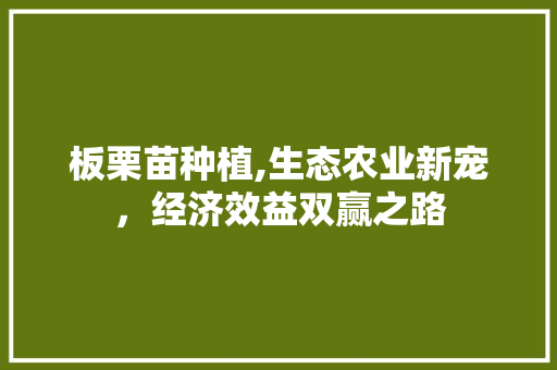 板栗苗种植,生态农业新宠，经济效益双赢之路