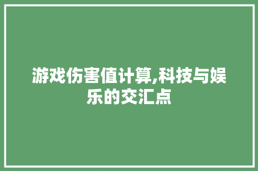 游戏伤害值计算,科技与娱乐的交汇点