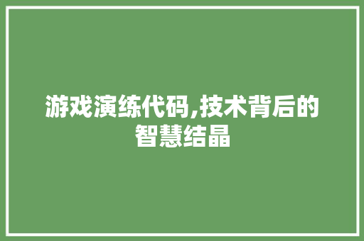 游戏演练代码,技术背后的智慧结晶 CSS