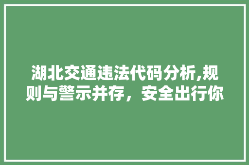 湖北交通违法代码分析,规则与警示并存，安全出行你我共筑