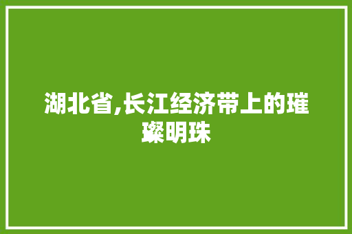 湖北省,长江经济带上的璀璨明珠