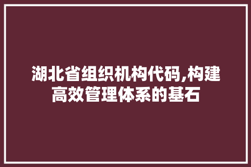 湖北省组织机构代码,构建高效管理体系的基石