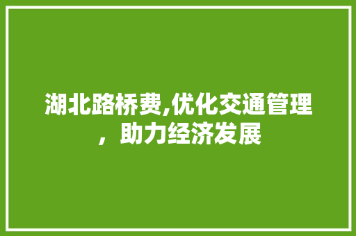 湖北路桥费,优化交通管理，助力经济发展