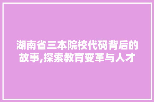 湖南省三本院校代码背后的故事,探索教育变革与人才成长