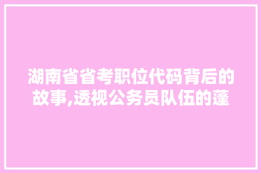 湖南省省考职位代码背后的故事,透视公务员队伍的蓬勃发展