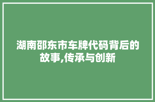 湖南邵东市车牌代码背后的故事,传承与创新 GraphQL