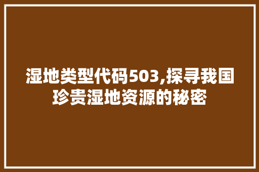 湿地类型代码503,探寻我国珍贵湿地资源的秘密