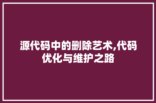 源代码中的删除艺术,代码优化与维护之路