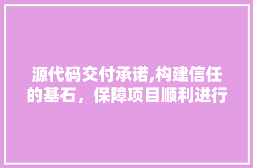 源代码交付承诺,构建信任的基石，保障项目顺利进行