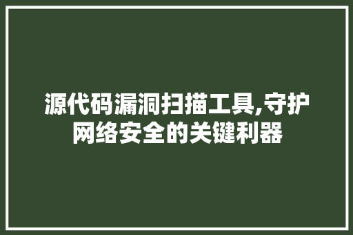 源代码漏洞扫描工具,守护网络安全的关键利器