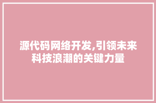 源代码网络开发,引领未来科技浪潮的关键力量