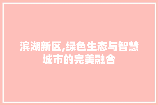 滨湖新区,绿色生态与智慧城市的完美融合