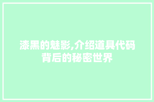 漆黑的魅影,介绍道具代码背后的秘密世界