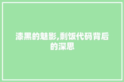 漆黑的魅影,剩饭代码背后的深思