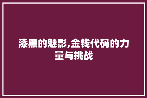 漆黑的魅影,金钱代码的力量与挑战