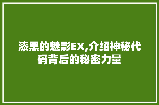 漆黑的魅影EX,介绍神秘代码背后的秘密力量