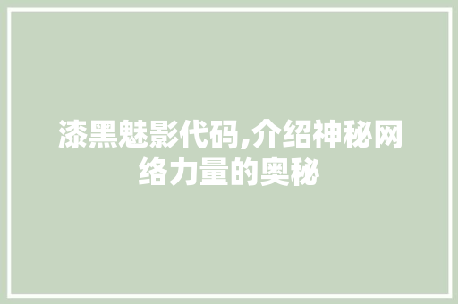 漆黑魅影代码,介绍神秘网络力量的奥秘