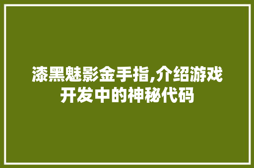 漆黑魅影金手指,介绍游戏开发中的神秘代码