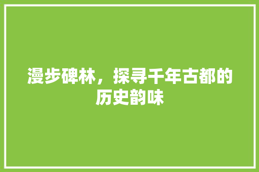 漫步碑林，探寻千年古都的历史韵味