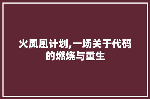 火凤凰计划,一场关于代码的燃烧与重生