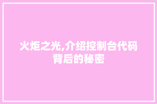 火炬之光,介绍控制台代码背后的秘密