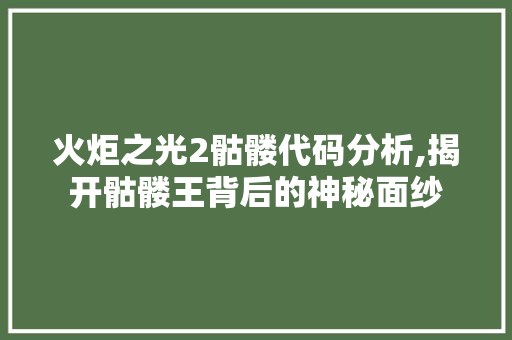 火炬之光2骷髅代码分析,揭开骷髅王背后的神秘面纱