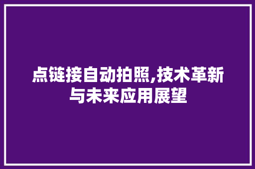 点链接自动拍照,技术革新与未来应用展望