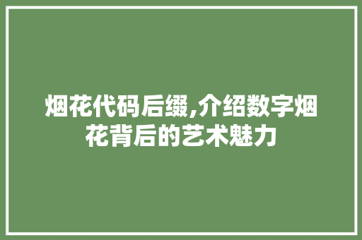 烟花代码后缀,介绍数字烟花背后的艺术魅力