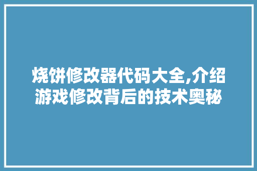 烧饼修改器代码大全,介绍游戏修改背后的技术奥秘