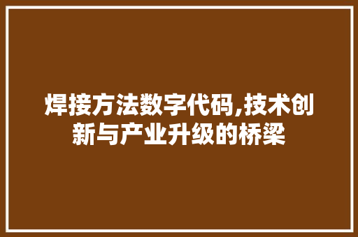 焊接方法数字代码,技术创新与产业升级的桥梁