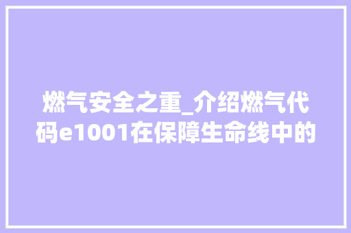 燃气安全之重_介绍燃气代码e1001在保障生命线中的作用