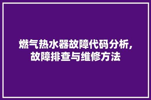 燃气热水器故障代码分析,故障排查与维修方法