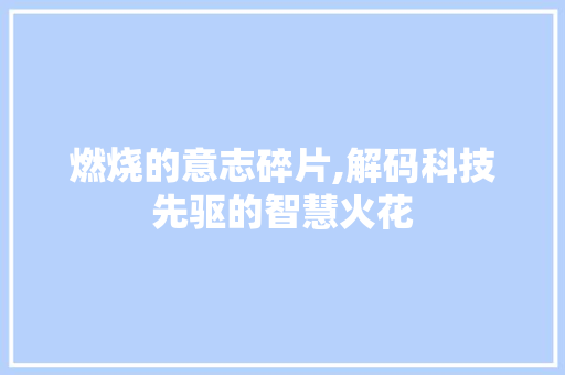 燃烧的意志碎片,解码科技先驱的智慧火花