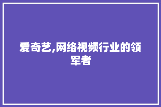 爱奇艺,网络视频行业的领军者