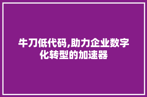 牛刀低代码,助力企业数字化转型的加速器