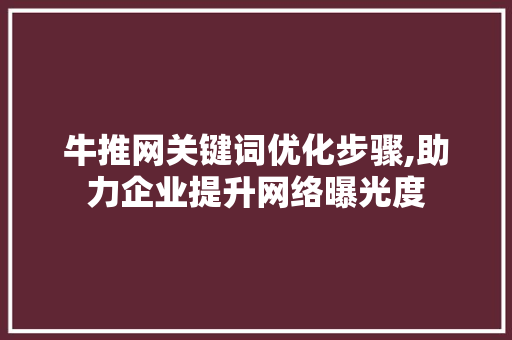 牛推网关键词优化步骤,助力企业提升网络曝光度